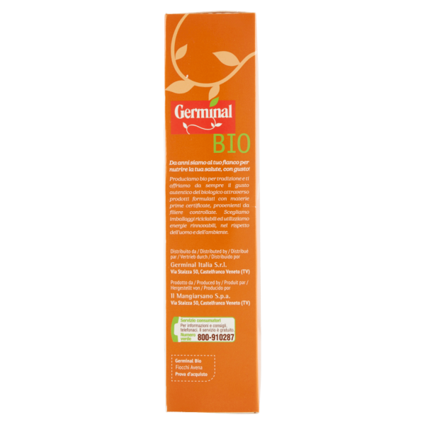 Germinal Bio Fiocchi Avena 300 g - immagine 2