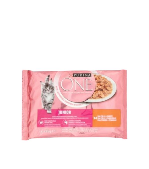 ONE GATTO JUNIOR POLLO PURINA GR.85X4